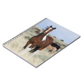 Wilde paarden, Steens-bergen Notitieboek (Linkerzijde)