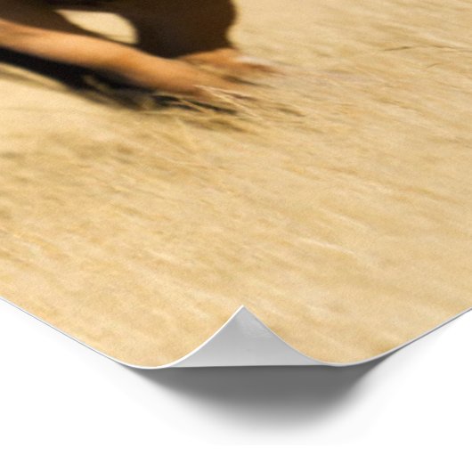 Wilde paarden, Steens-bergen Poster (Hoek)