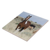 Wilde paarden, Steens-bergen Tegeltje (Zijkant)