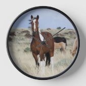 Wilde paarden, Steens Mountains (Voorkant)