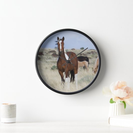 Wilde paarden, Steens Mountains (Huis)