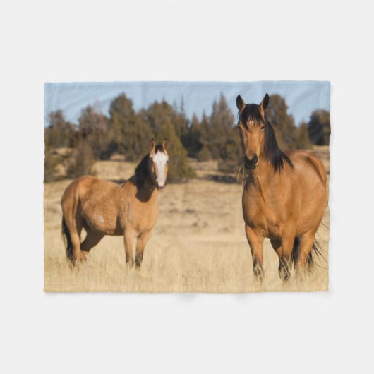 Wilde paarden, Steens Mountains Fleece Deken (Voorkant (Horizontaal))