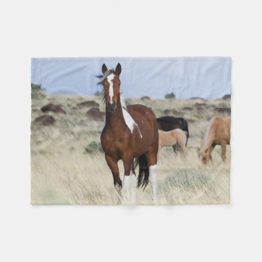 Wilde paarden, Steens Mountains Fleece Deken (Voorkant (Horizontaal))