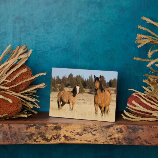 Wilde paarden, Steens Mountains Fotoplaat (Zijkant)