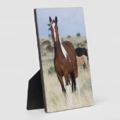 Wilde paarden, Steens Mountains Fotoplaat (Zijkant)