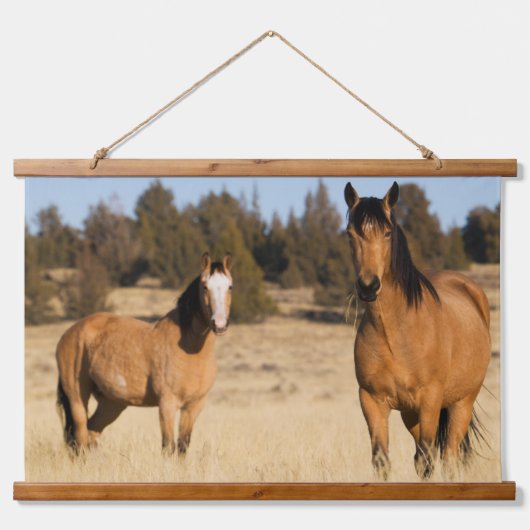 Wilde paarden, Steens Mountains Hangend Wandkleed (Voorkant)