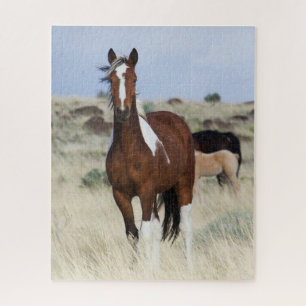 Wilde paarden, Steens Mountains Legpuzzel