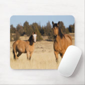 Wilde paarden, Steens Mountains Muismat (Met muis)