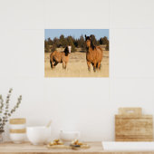 Wilde paarden, Steens Mountains Poster (Keuken)