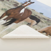 Wilde paarden, Steens Mountains Sherpa Deken (3/4)
