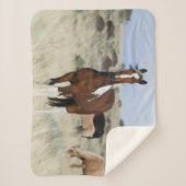 Wilde paarden, Steens Mountains Sherpa Deken (Voorkant)