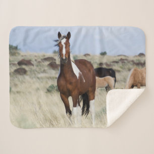 Wilde paarden, Steens Mountains Sherpa Deken