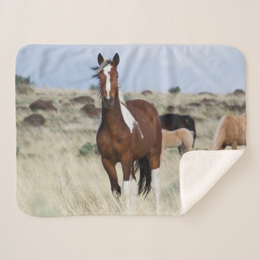Wilde paarden, Steens Mountains Sherpa Deken (Voorkant (horizontaal))