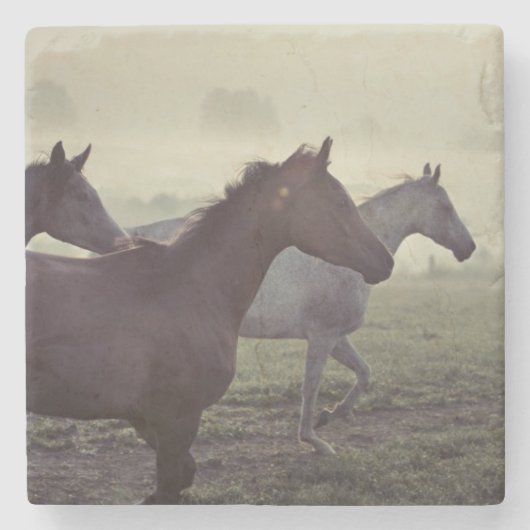Wilde paarden stenen onderzetter (Voorkant)