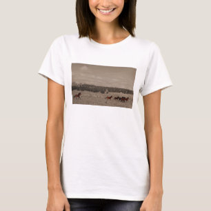 Wilde paarden T-Shirt