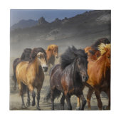 Wilde paarden tegeltje (Voorkant)