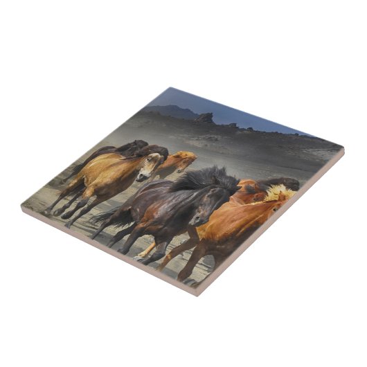 Wilde paarden tegeltje (Zijkant)