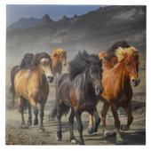 Wilde paarden tegeltje (Voorkant)