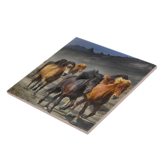 Wilde paarden tegeltje (Zijkant)