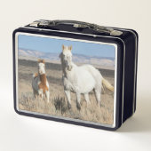 Wilde paarden thuis in het Sandwash-bekken (Achterkant)