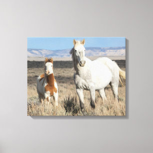 Wilde paarden thuis in het Sandwash-bekken Canvas Afdruk