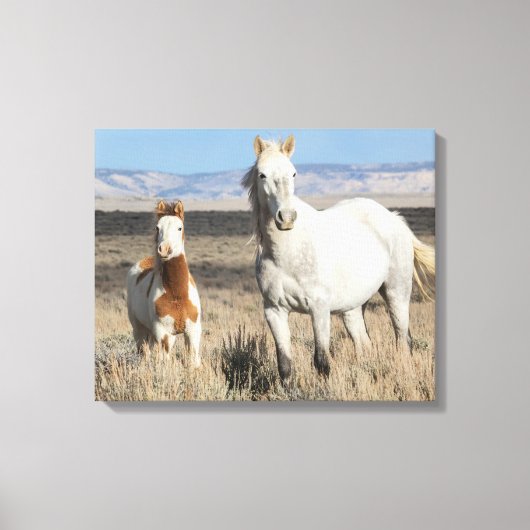 Wilde paarden thuis in het Sandwash-bekken Canvas Afdruk (Voorkant)