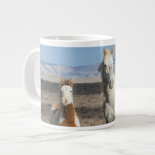 Wilde paarden thuis in het Sandwash-bekken Grote Koffiekop