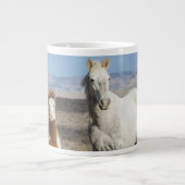 Wilde paarden thuis in het Sandwash-bekken Grote Koffiekop (Voorkant)