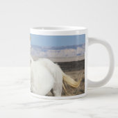 Wilde paarden thuis in het Sandwash-bekken Grote Koffiekop (Rechts)