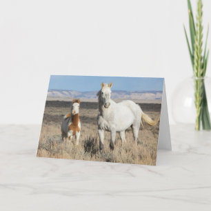 Wilde paarden thuis in het Sandwash-bekken Kaart