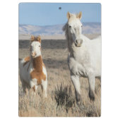 Wilde paarden thuis in het Sandwash-bekken Klembord (Achterkant)