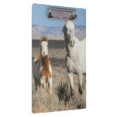 Wilde paarden thuis in het Sandwash-bekken Klembord (Rechts)