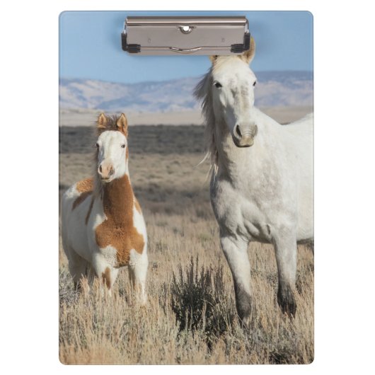 Wilde paarden thuis in het Sandwash-bekken Klembord (Voorkant)