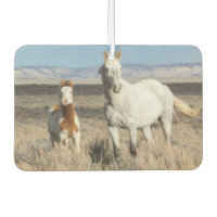 Wilde paarden thuis in het Sandwash-bekken