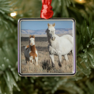 Wilde paarden thuis in het Sandwash-bekken Metalen Ornament