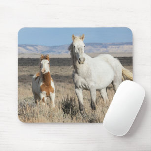 Wilde paarden thuis in het Sandwash-bekken Muismat