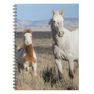 Wilde paarden thuis in het Sandwash-bekken Notitieboek