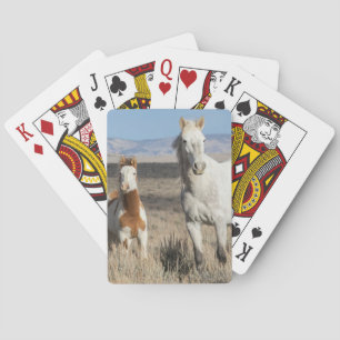 Wilde paarden thuis in het Sandwash-bekken Pokerkaarten