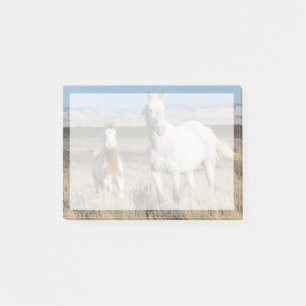 Wilde paarden thuis in het Sandwash-bekken Post-it® Notes