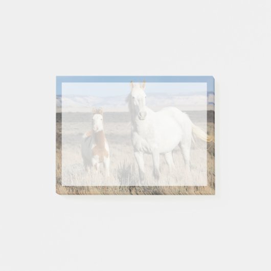 Wilde paarden thuis in het Sandwash-bekken Post-it® Notes (Voorkant)