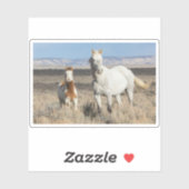 Wilde paarden thuis in het Sandwash-bekken Sticker (Vel)