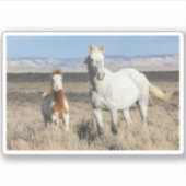 Wilde paarden thuis in het Sandwash-bekken Sticker (Voorkant)