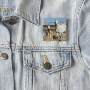 Wilde paarden thuis in het Sandwash-bekken Vierkante Button 5,1 Cm