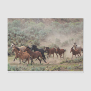 Wilde paarden tissuepapier