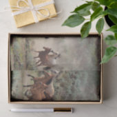 Wilde paarden tissuepapier (Geschenk)