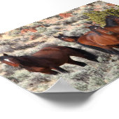 Wilde paarden uit de vallei van Palomino #6 Poster (Hoek)