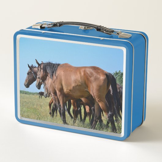 Wilde paarden uit het westen (Achterkant)