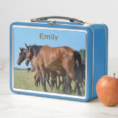 Wilde paarden uit het westen (In situ)