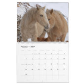 Wilde paarden van Arizona Kalender (Feb 2027)