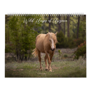 Wilde paarden van Arizona Kalender